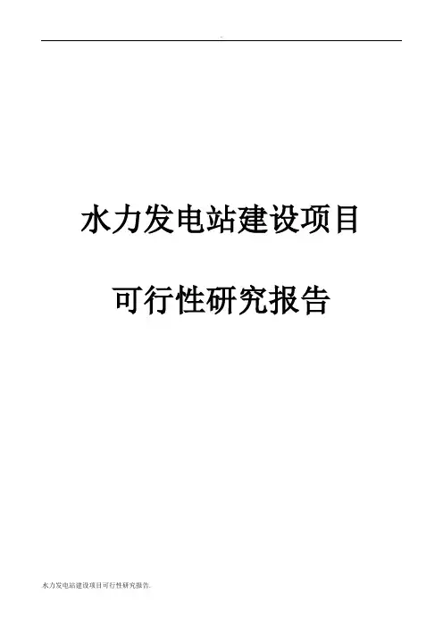 水力发电站建设项目可行性研究报告