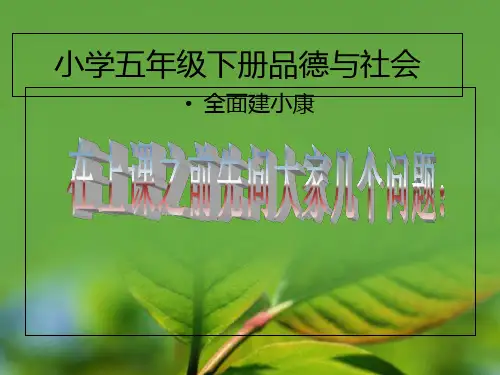 小学五年级下册品德与社会《全面建小康》.模板PPT课件