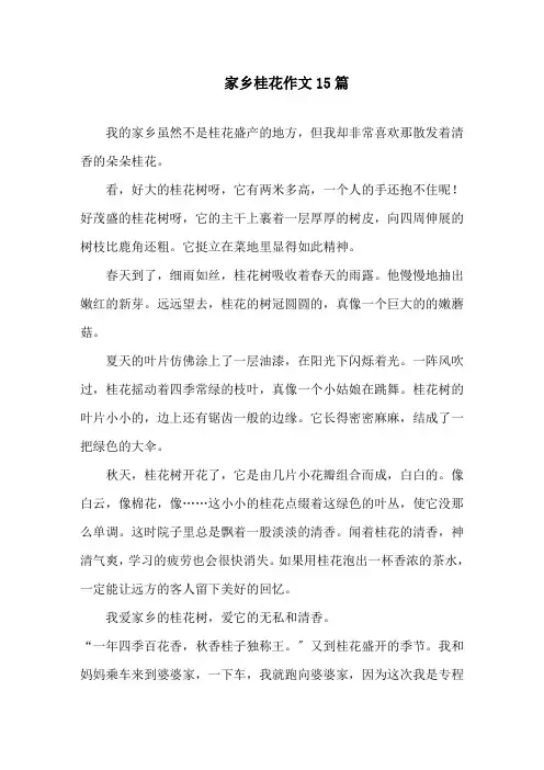 家乡桂花作文15篇精选