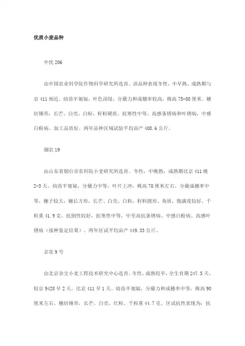 优质小麦品种