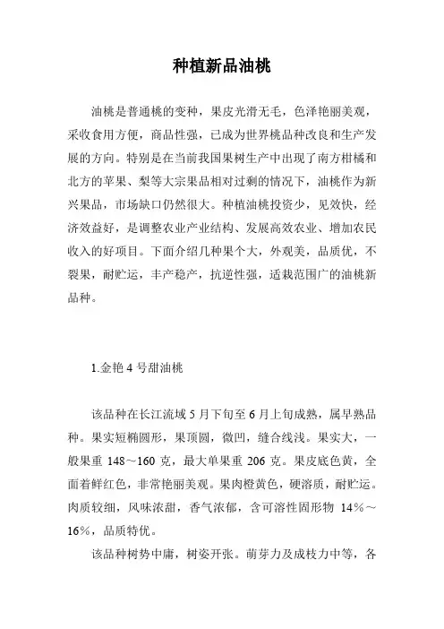种植新品油桃