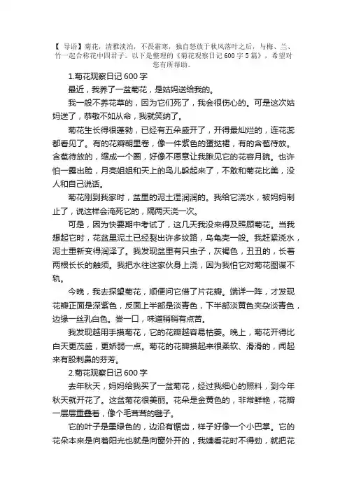 菊花观察日记600字5篇
