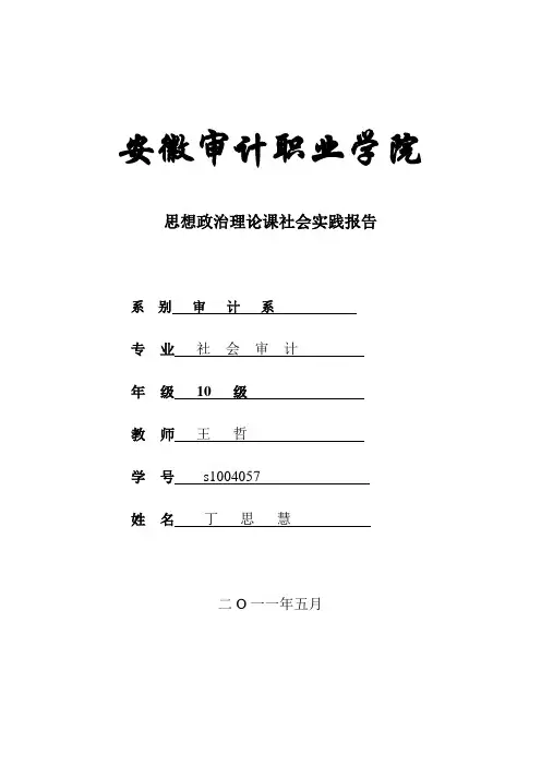 思政概论课社会实践