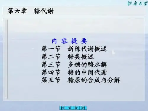 糖代谢 (1)