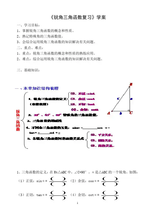 锐角三角函数复习学案2