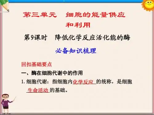 高三生物一轮复习 降低化学反应活化能的酶课件 新人教版