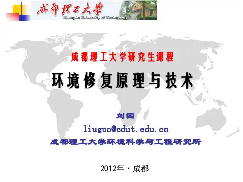 环境修复原理与技术