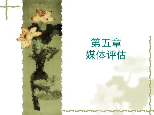 媒体评估