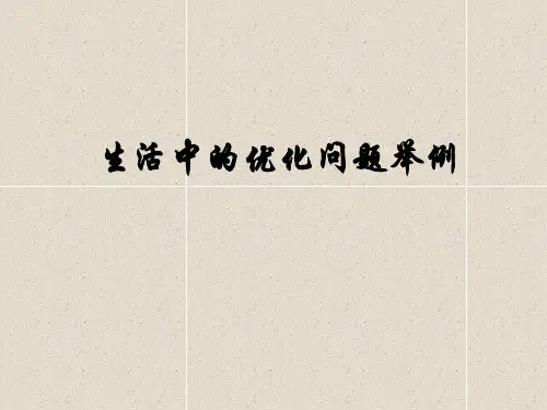 优化问题举例