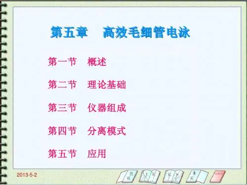 第五章     高效毛细管电泳