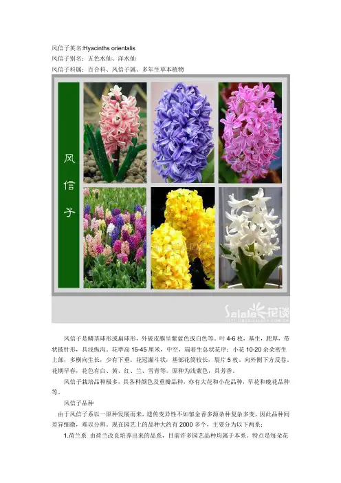 家庭常见花卉栽培与欣赏(六)