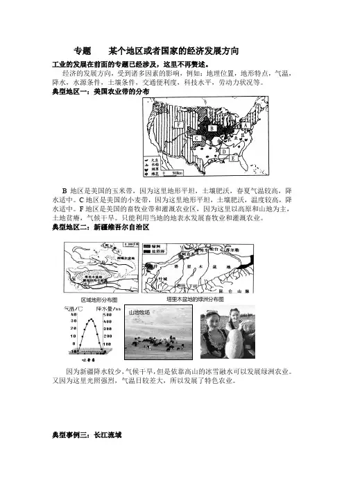 地理复习专题    某个地区或者国家的经济发展方向