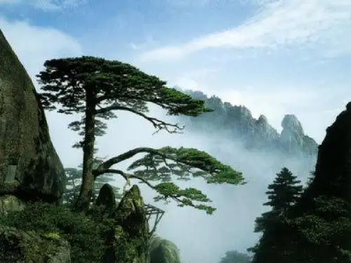 爬天都峰 正式上课