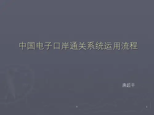 中国电子口岸通关系统流程