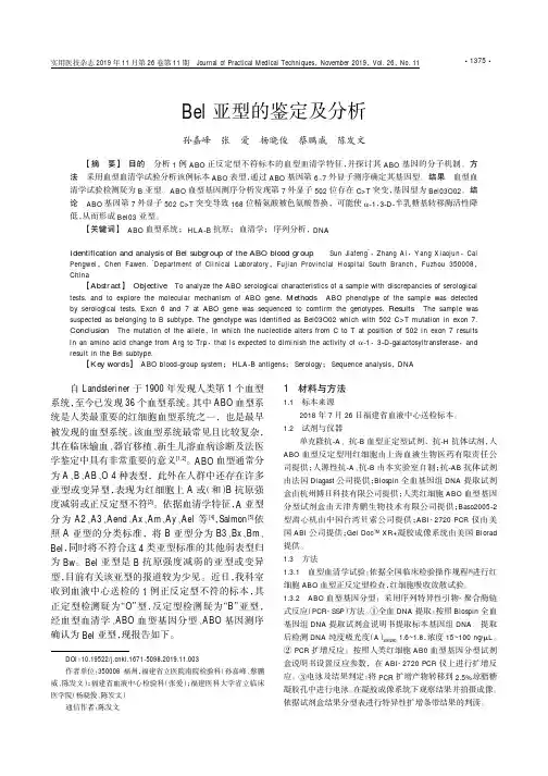 bel亚型的鉴定及分析