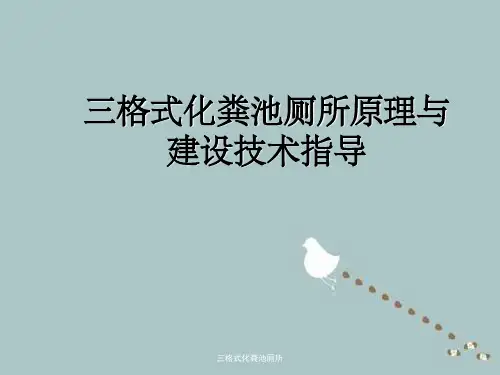 三格式化粪池厕所