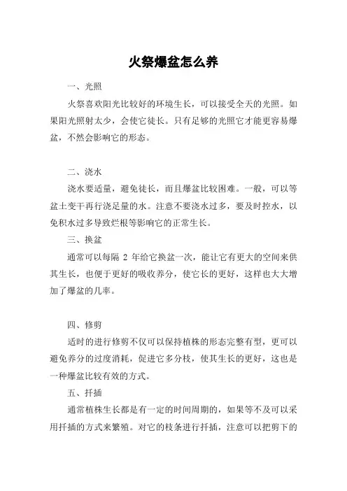 火祭爆盆怎么养_1