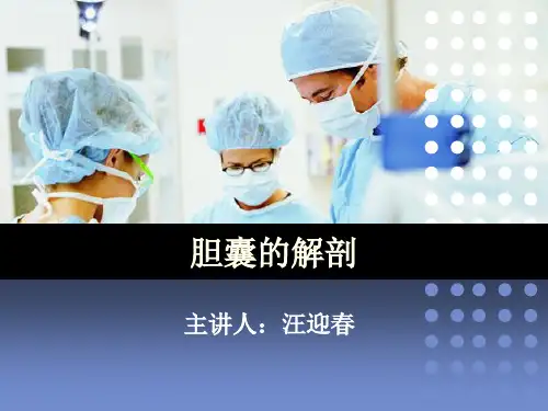 胆囊的解剖(课堂PPT)