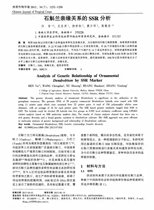石斛兰亲缘关系的SSR分析