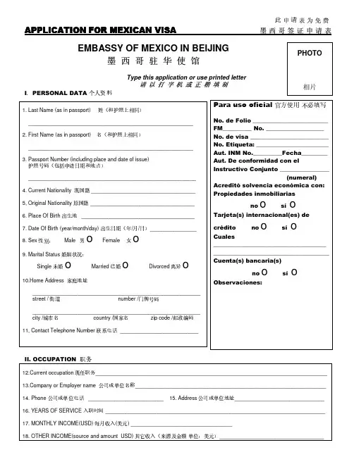 墨西哥签证申请表