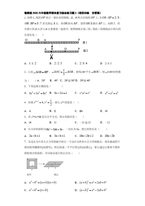 鲁教版2020六年级数学期末复习综合练习题3(培优训练  含答案)