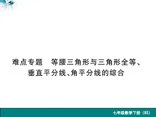 难点专题 等腰三角形与三角形全等、垂直平分线、角平分线的综合