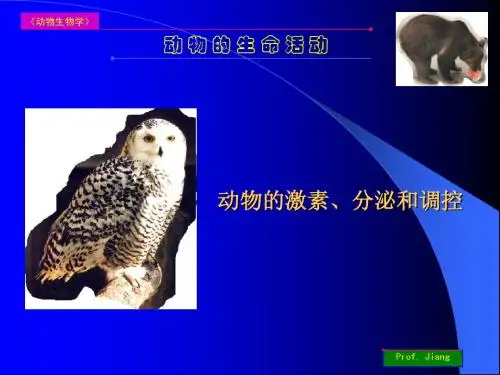 动物的激素分泌和调控