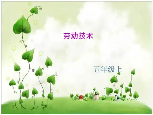 小学劳动技术五年级手工缝制