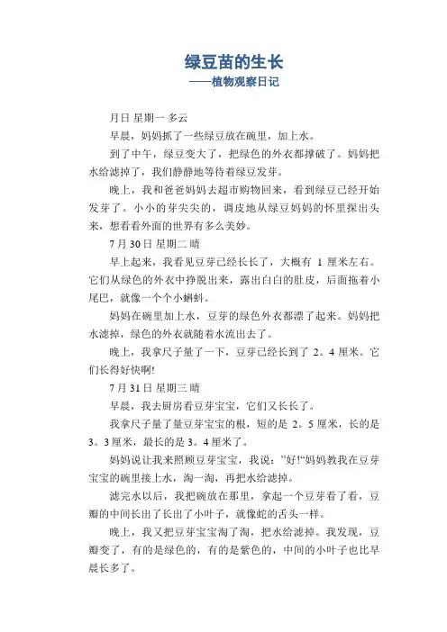 绿豆苗的生长_植物观察日记