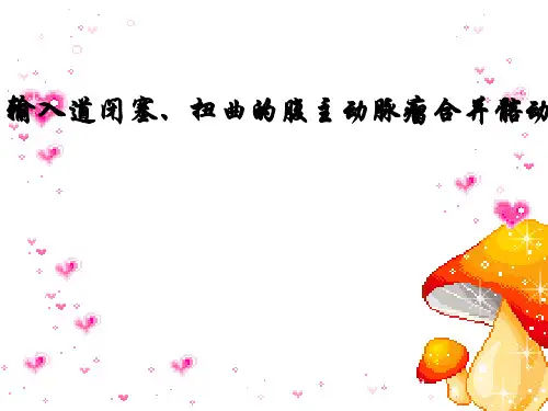 【精品】PPT课件  输入道闭塞、扭曲的腹主动脉瘤合并髂动脉多发动脉瘤一例