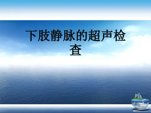 下肢静脉的超声检查演示文稿