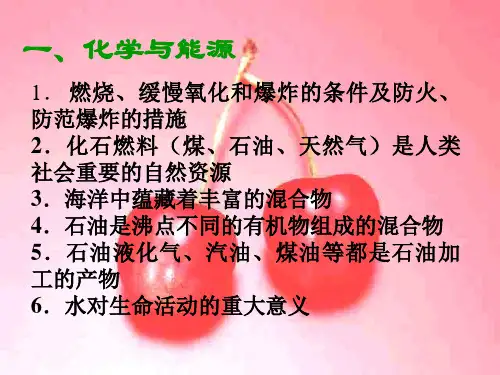 中考化学化学与社会发展课件(PPT)4-1