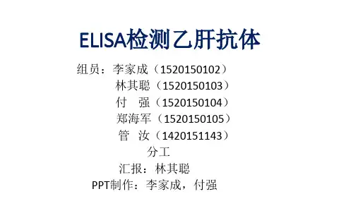 ELISA检测乙肝抗体PPT课件