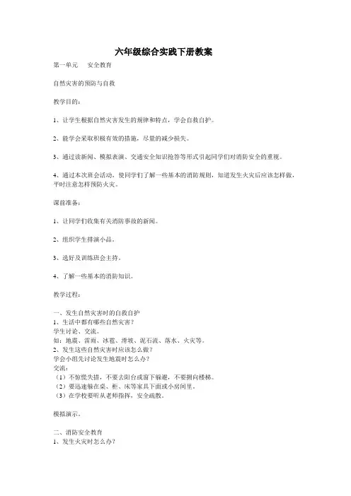六年级下册综合实践活动教案