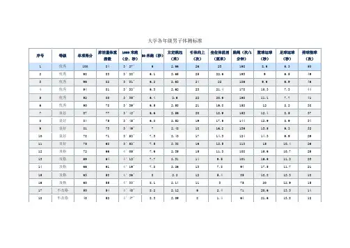 大学各年级男子体测标准