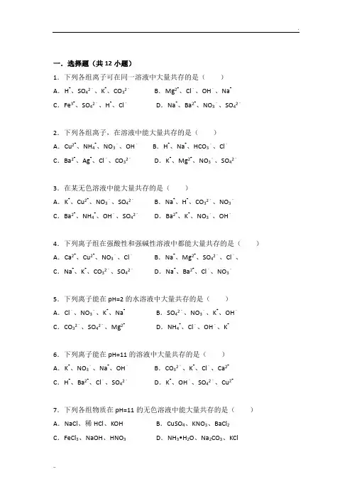 初中化学 离子共存专题