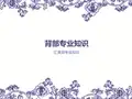 背部专业知识解析