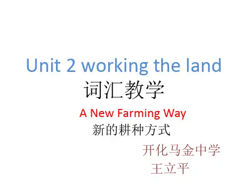 人教版必修四unit 2 词汇教学