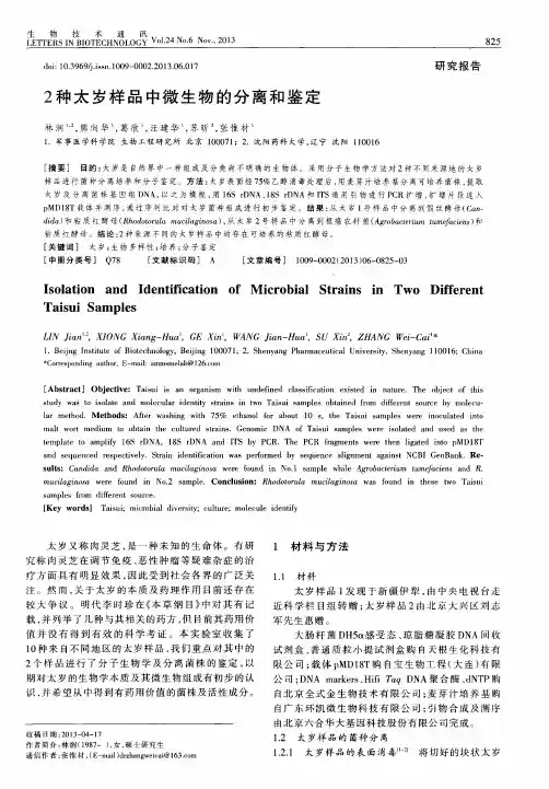 2种太岁样品中微生物的分离和鉴定