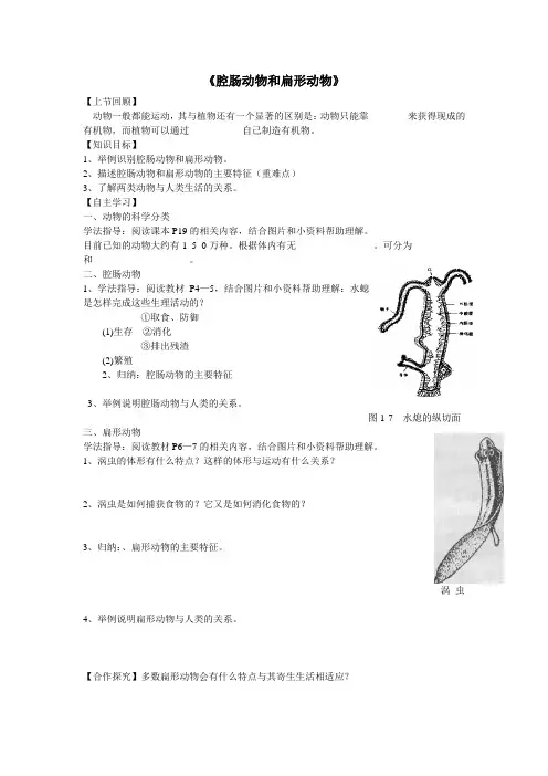 腔肠动物和扁形动物