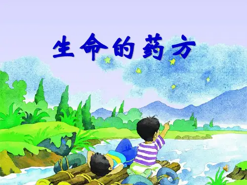 《生命的药方》PPT课件四