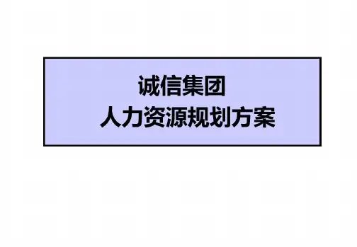 人力资源规划方案(案例完整版)分析