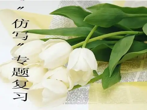 2013年中考语文专题复习课件 仿写