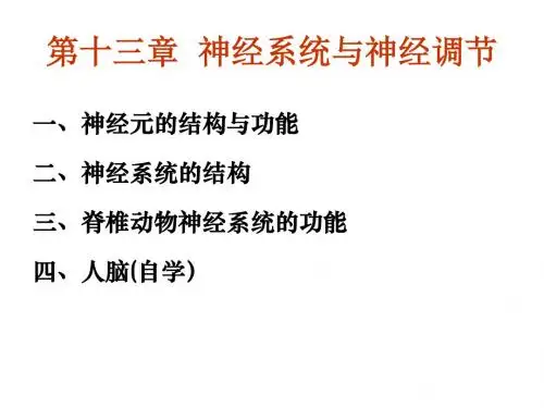 神经系统与神经调节