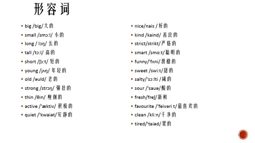 小学英语(形容词)