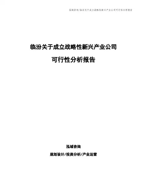 临汾关于成立战略性新兴产业公司可行性分析报告