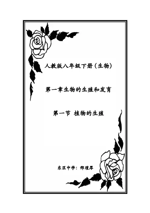植物的生殖教案DOC