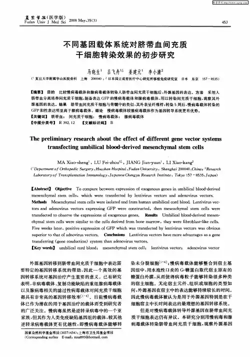 不同基因载体系统对脐带血间充质干细胞转染效果的初步研究