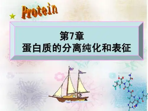 第7章 蛋白质的分离纯化和表征