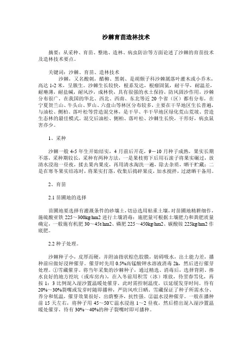沙棘育苗造林技术